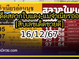 เลขเด็ดสลากใบแดง-แม่จำเนียรอ่อนนุช 16/12/67 [สิบเลขเด็ดขายดี]