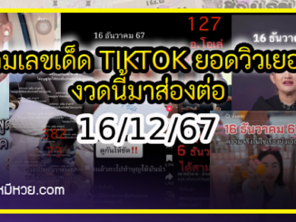 รวมเลขเด็ด TIKTOK ยอดวิวเยอะ 16/12/67 งวดนี้มาส่องต่อ