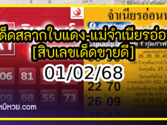 เลขเด็ดสลากใบแดง-แม่จำเนียรอ่อนนุช 01/02/68 [สิบเลขเด็ดขายดี]