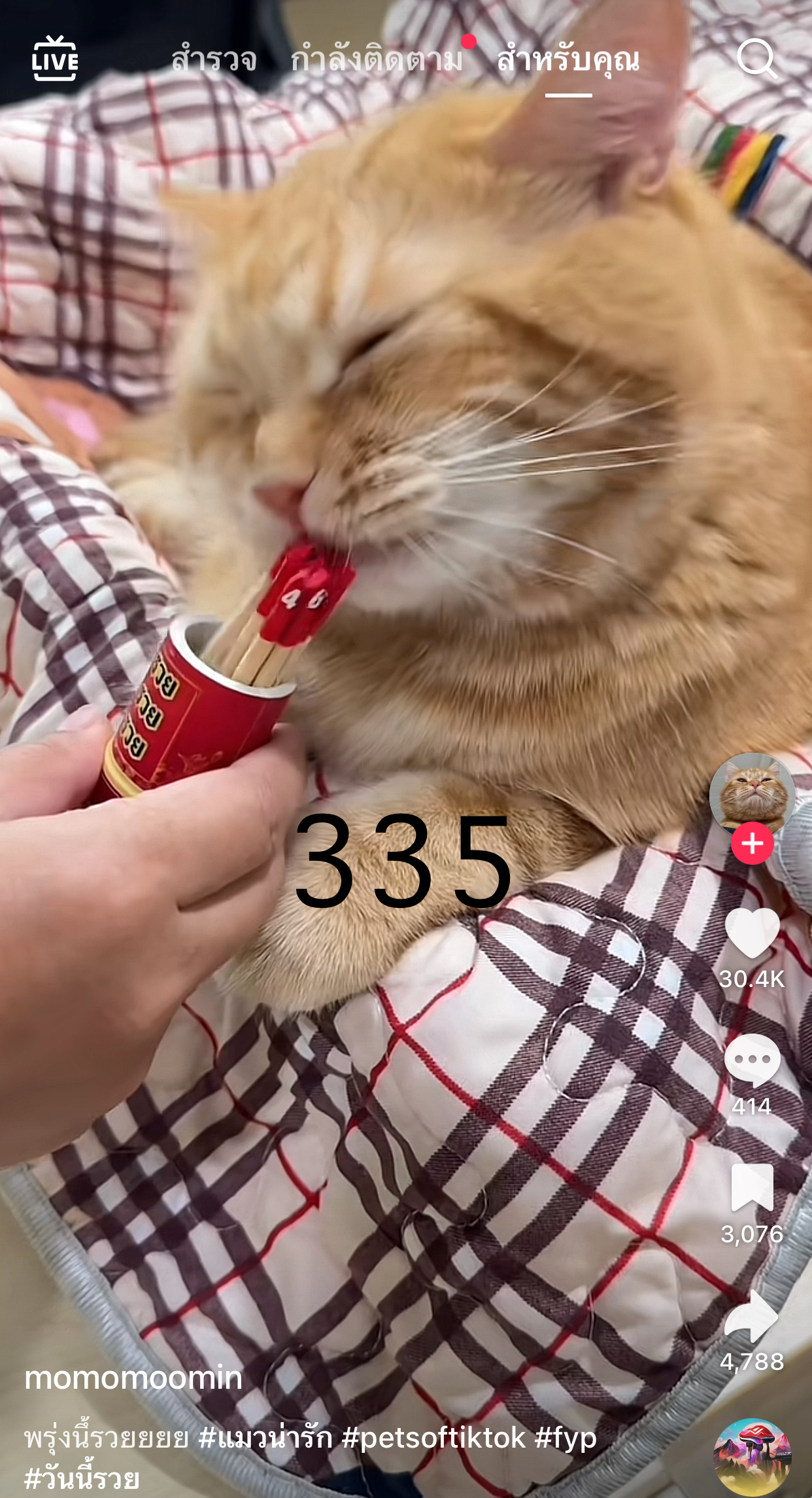 รวมเลขเด็ด TIKTOK ยอดวิวเยอะ 02/05/68 งวดนี้มาส่องต่อ
