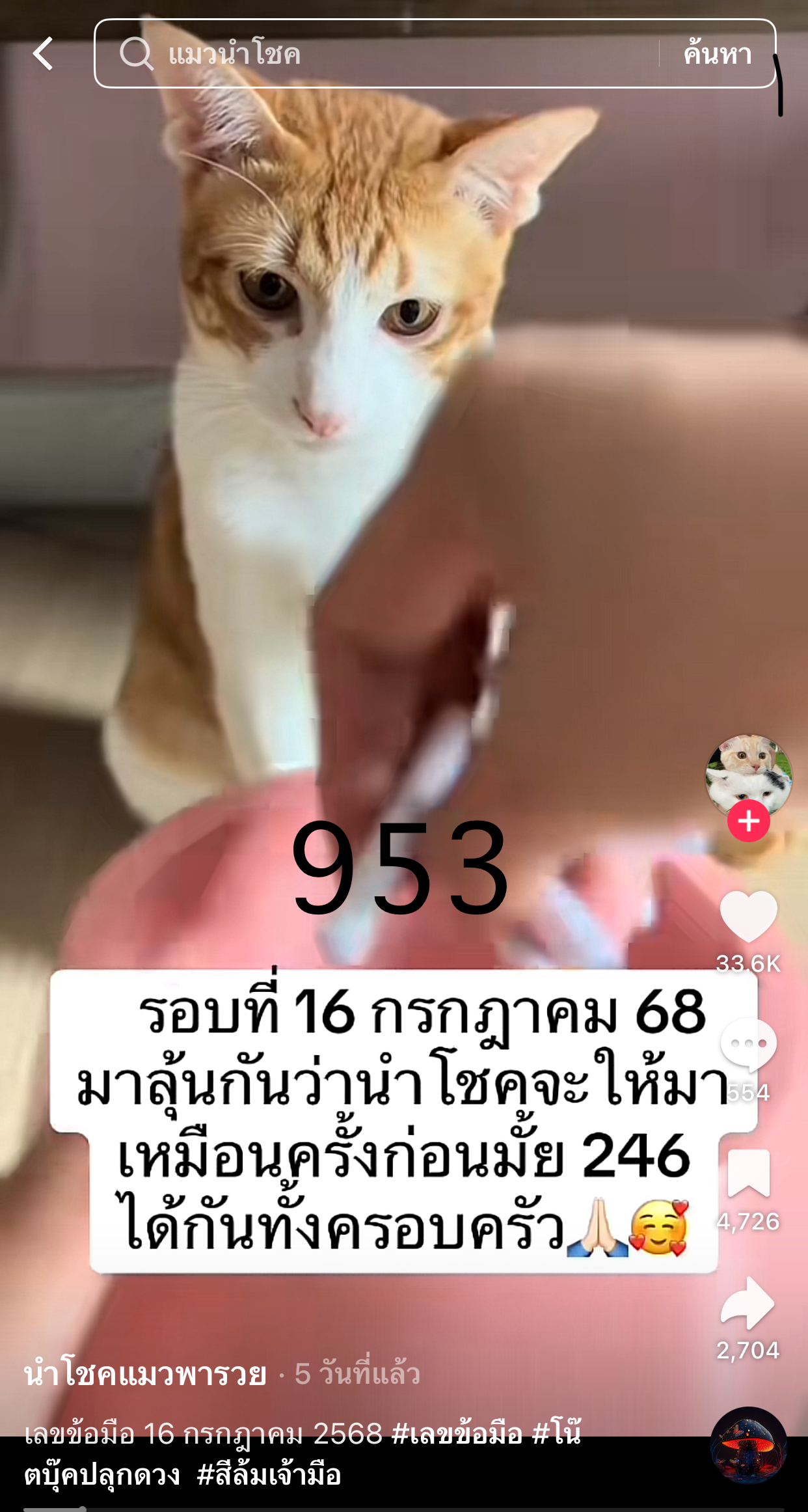 รวมเลขเด็ด TIKTOK ยอดวิวเยอะ 16/07/68 งวดนี้มาส่องต่อ