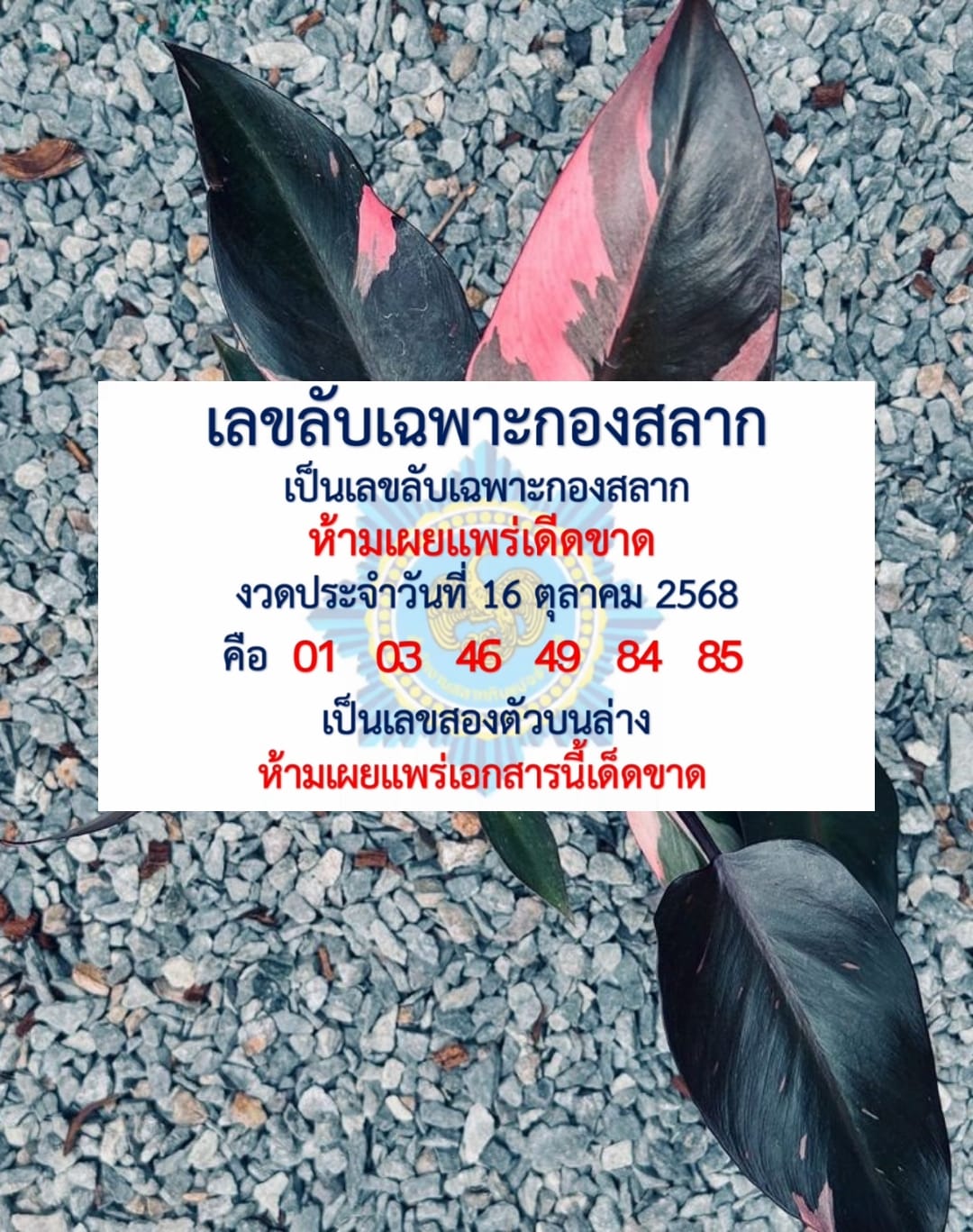 เลขเด็ดหวยเขียนมือ คอหวยตามหาทุกงวด 16/10/68