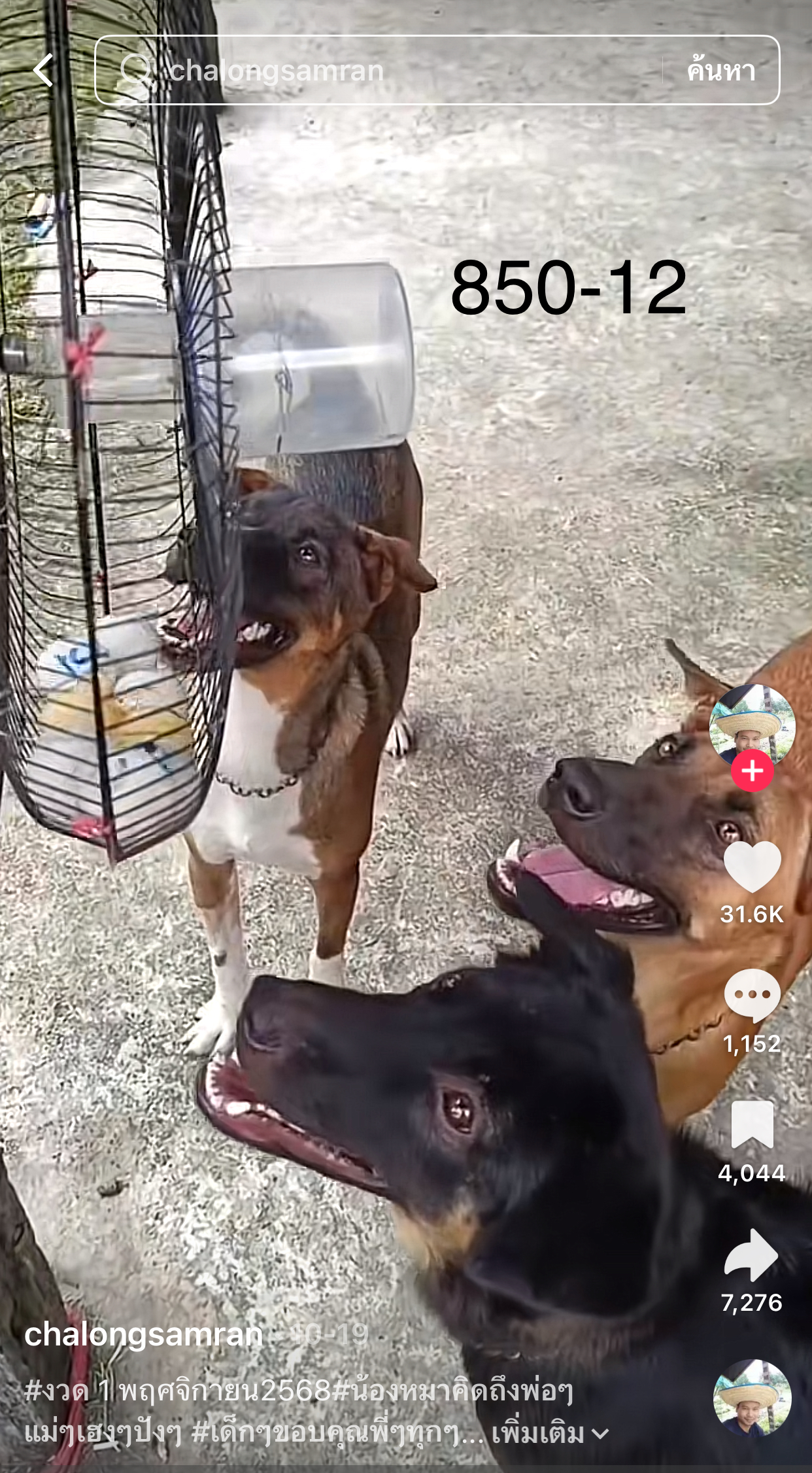 รวมเลขเด็ด TIKTOK ยอดวิวเยอะ 01/11/68 งวดนี้มาส่องต่อ