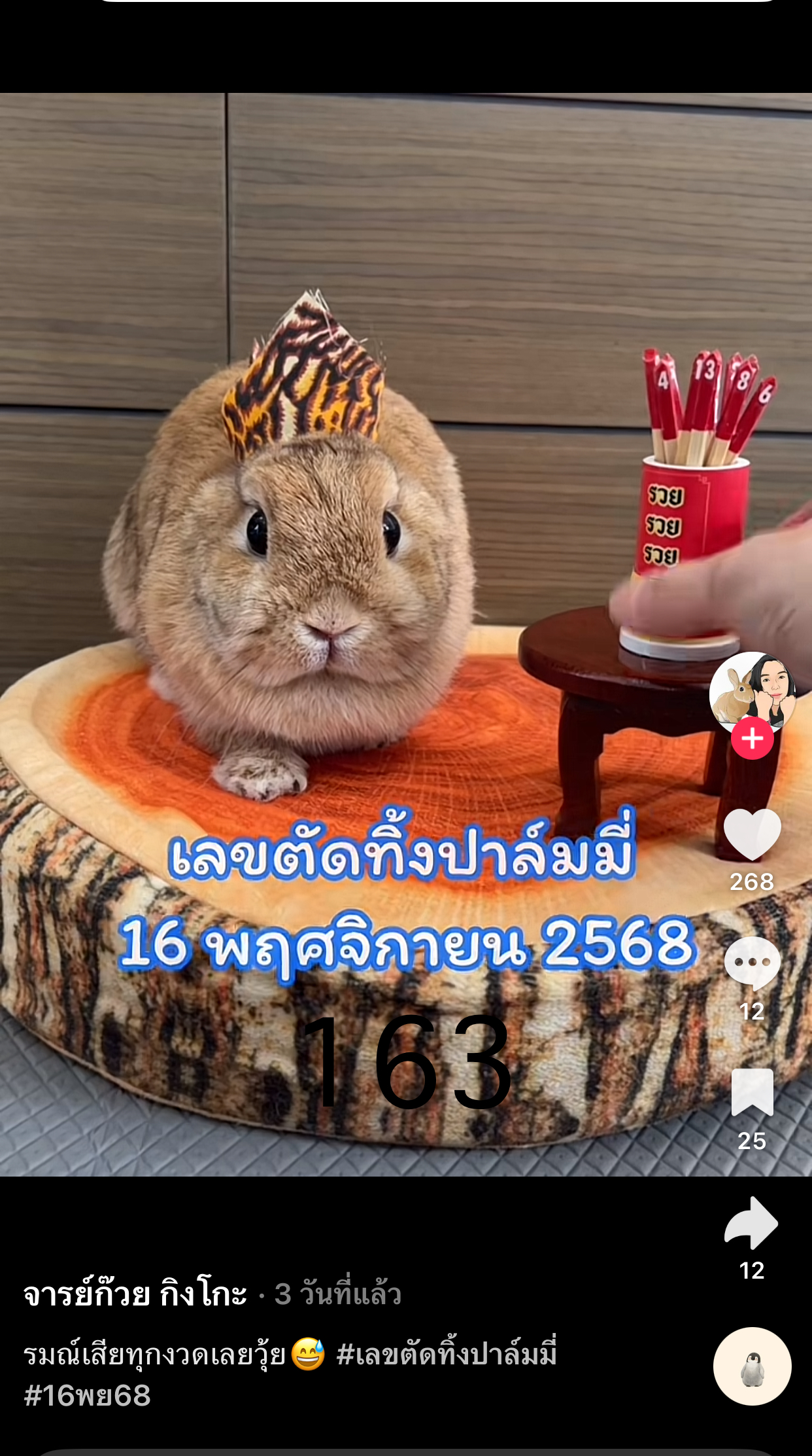 รวมเลขเด็ด TIKTOK ยอดวิวเยอะ 16/11/68 งวดนี้มาส่องต่อ