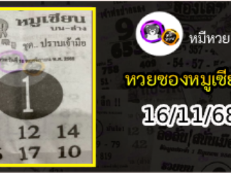 หวยซอง หมูเซียน 16/11/68
