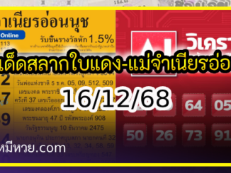 เลขเด็ดสลากใบแดง-แม่จำเนียรอ่อนนุช 16/12/68 [สิบเลขเด็ดขายดี]