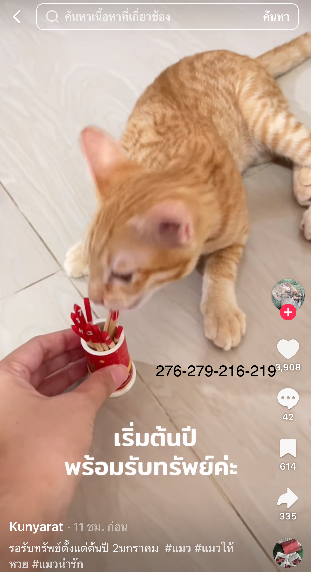 รวมเลขเด็ด TIKTOK ยอดวิวเยอะ 02/01/69 งวดนี้มาส่องต่อ