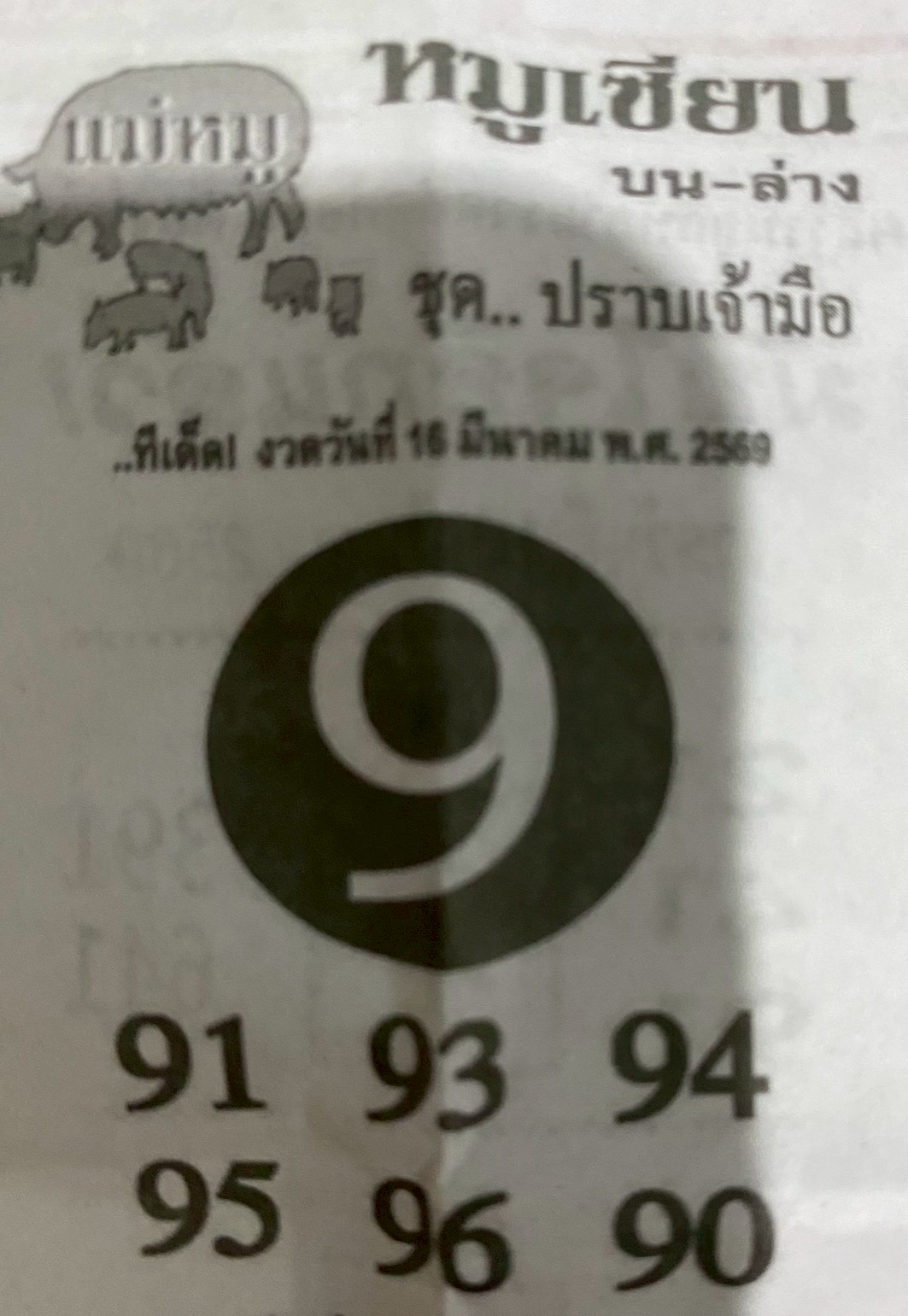 หวยซอง หมูเซียน 16/03/69 สำหรับแฟนหวยหมูเซียน
