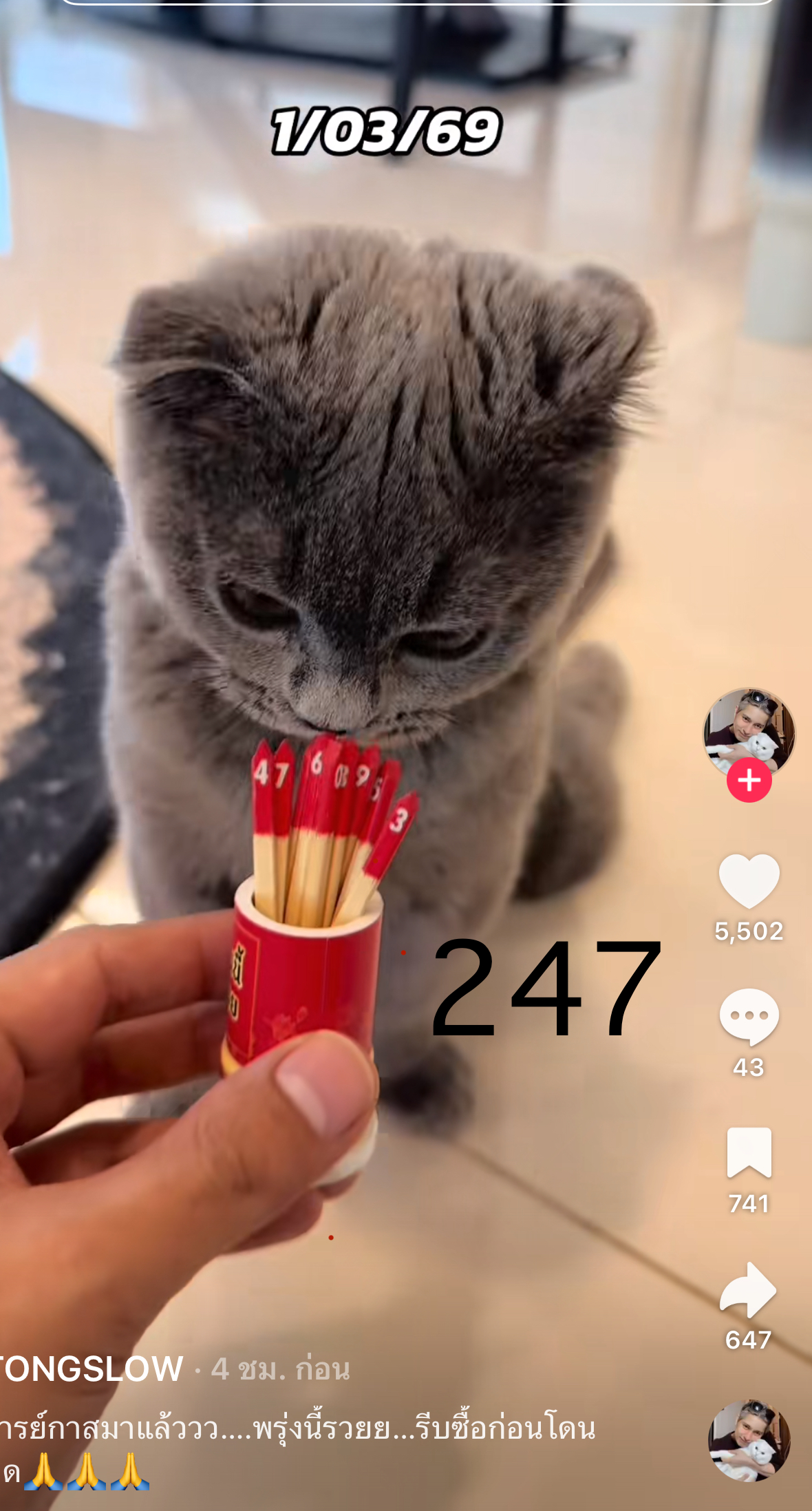 รวมเลขเด็ด TIKTOK ยอดวิวเยอะ 01/03/69 งวดนี้มาส่องต่อ