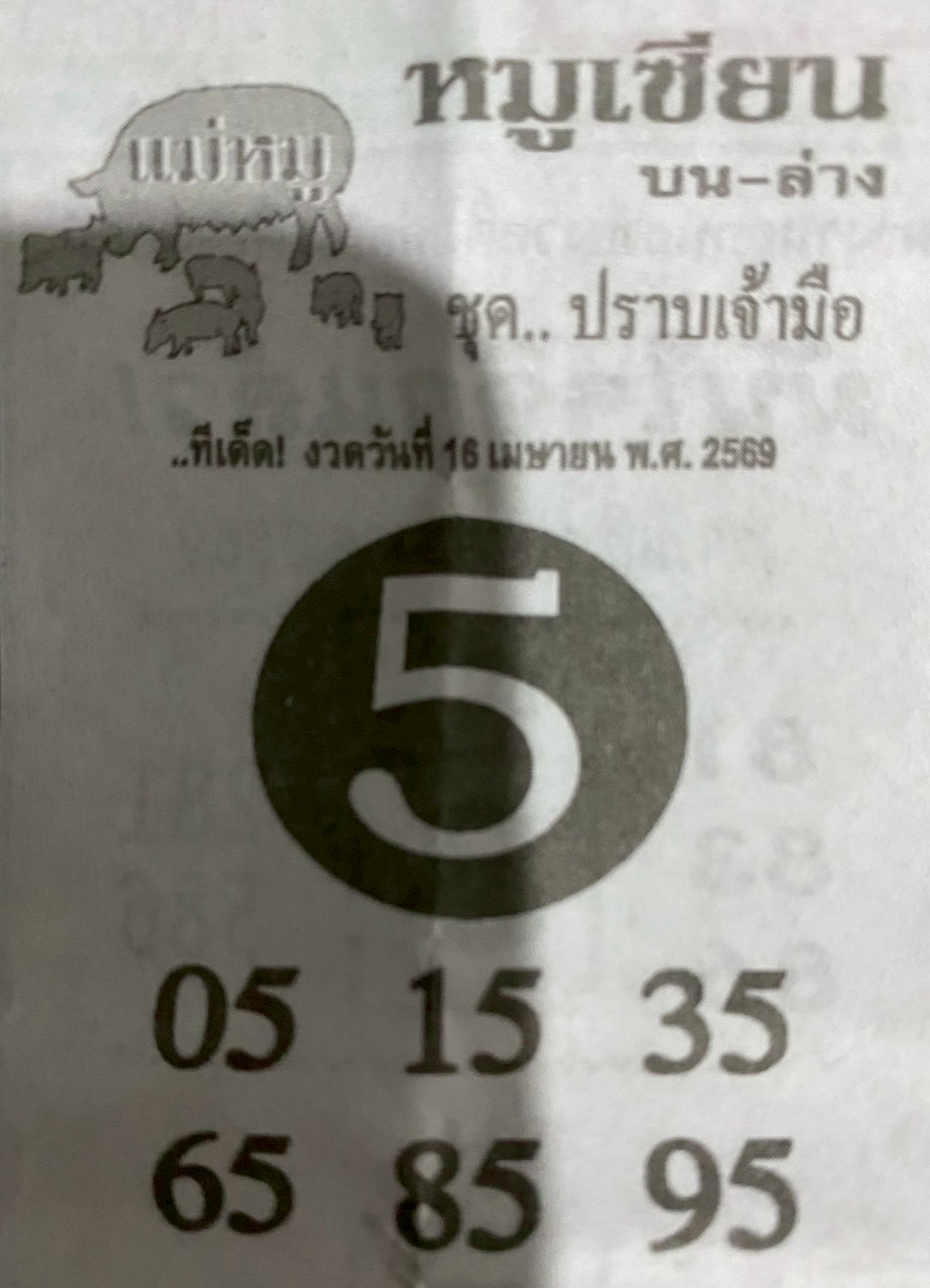 หวยซอง หมูเซียน 16/04/69 สำหรับแฟนหวยหมูเซียน