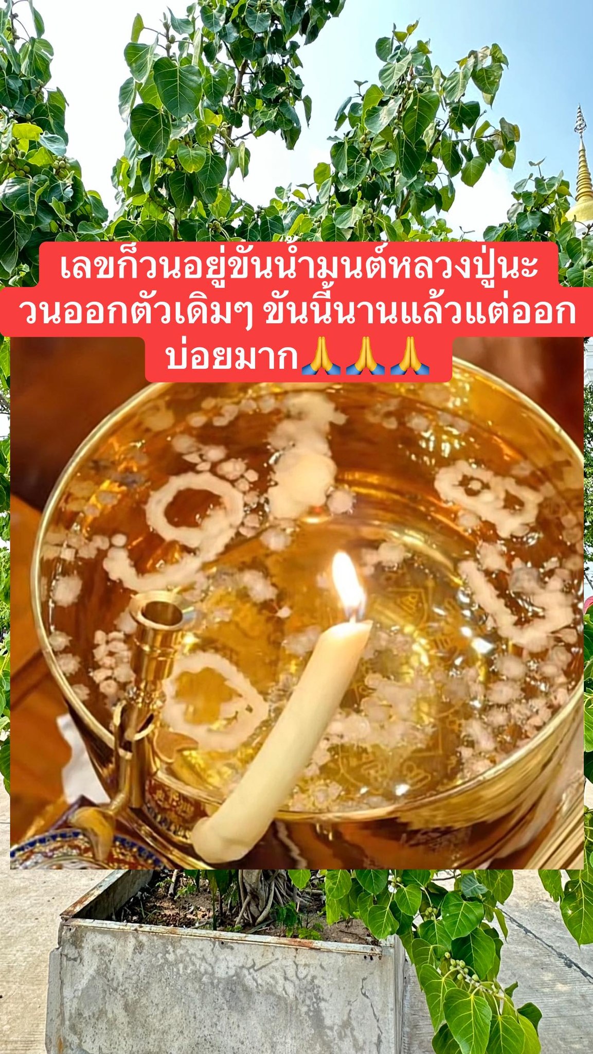 รวมเลขดังขันน้ำมนต์ ทั่วประเทศที่ทุกคนรอคอย งวด 02/05/69