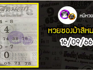 เลขเด็ดงวดนี้ม้าสีหมอก 01/10/66