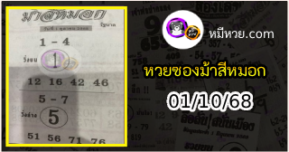 เลขเด็ดงวดนี้ม้าสีหมอก 01/10/68