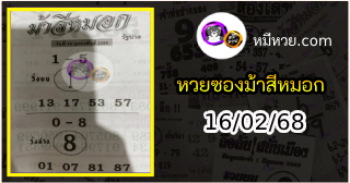 เลขเด็ดงวดนี้ม้าสีหมอก 16/02/68