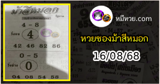เลขเด็ดงวดนี้ม้าสีหมอก 16/08/68