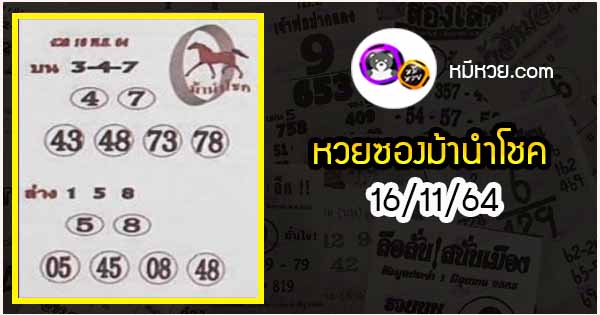 หวยซอง ม้านำโชค 16/11/64