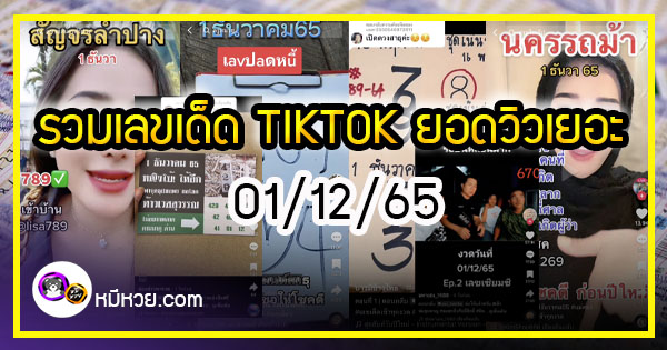 รวมเลขเด็ด TIKTOK ยอดวิวเยอะ 01/12/65 งวดนี้มาส่องต่อ