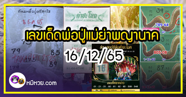 เลขเด็ดพ่อปู่แม่ย่าพญานาค-คำชะโนด งวด 16/12/65