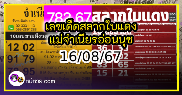 เลขเด็ดสลากใบแดง-แม่จำเนียรอ่อนนุช 16/08/67 [สิบเลขเด็ดขายดี]