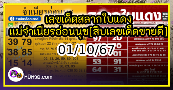 เลขเด็ดสลากใบแดง-แม่จำเนียรอ่อนนุช 01/10/67 [สิบเลขเด็ดขายดี]