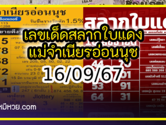 เลขเด็ดสลากใบแดง-แม่จำเนียรอ่อนนุช 16/09/67 [สิบเลขเด็ดขายดี]