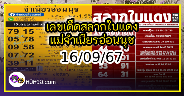 เลขเด็ดสลากใบแดง-แม่จำเนียรอ่อนนุช 16/09/67 [สิบเลขเด็ดขายดี]