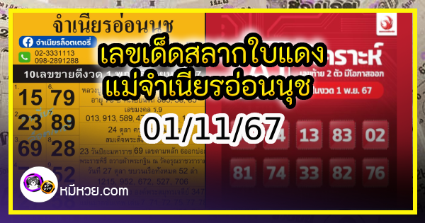 เลขเด็ดสลากใบแดง-แม่จำเนียรอ่อนนุช 01/11/67 [สิบเลขเด็ดขายดี]