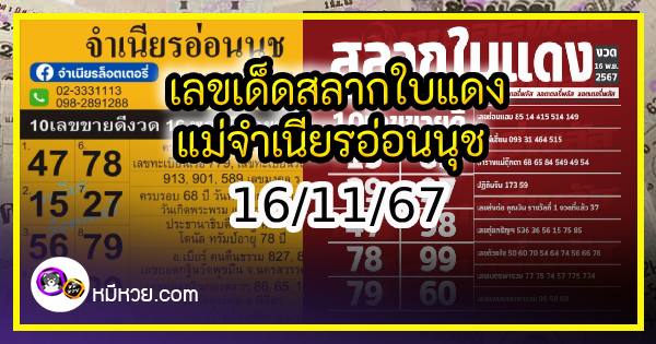 เลขเด็ดสลากใบแดง-แม่จำเนียรอ่อนนุช 16/11/67 [สิบเลขเด็ดขายดี]