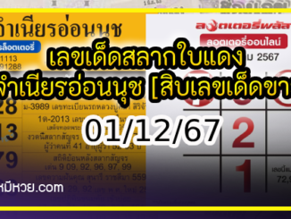 เลขเด็ดสลากใบแดง-แม่จำเนียรอ่อนนุช 01/12/67 [สิบเลขเด็ดขายดี]