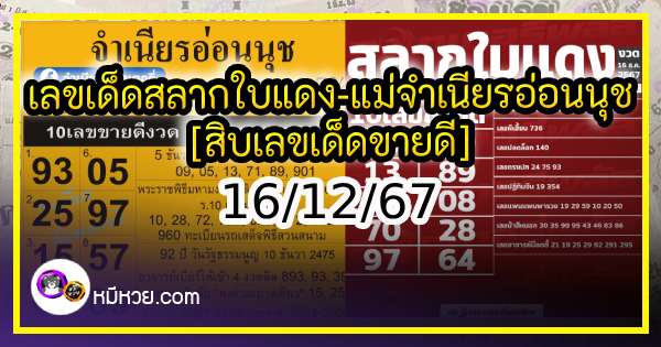 เลขเด็ดสลากใบแดง-แม่จำเนียรอ่อนนุช 16/12/67 [สิบเลขเด็ดขายดี]