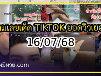 รวมเลขเด็ด TIKTOK ยอดวิวเยอะ 16/07/68 งวดนี้มาส่องต่อ