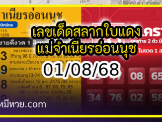 เลขเด็ดสลากใบแดง-แม่จำเนียรอ่อนนุช 01/08/68 [สิบเลขเด็ดขายดี]