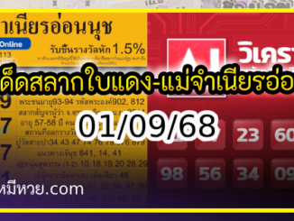 เลขเด็ดสลากใบแดง-แม่จำเนียรอ่อนนุช 01/09/68 [สิบเลขเด็ดขายดี]